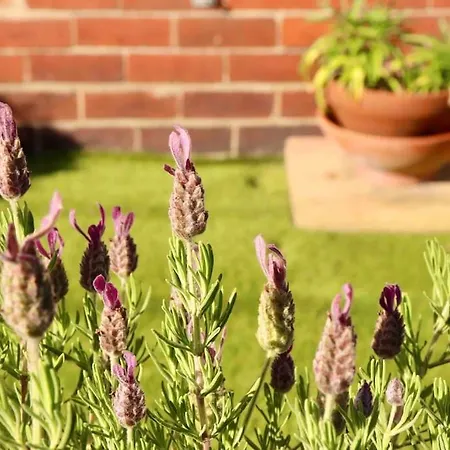 Apartamento Stunning Free Wifi &parking Leeds (West Yorkshire)