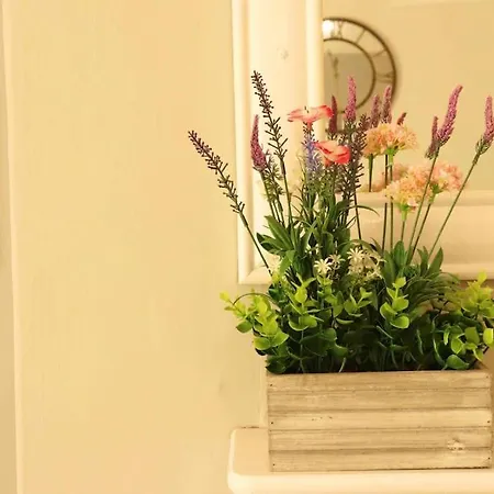 Stunning Free Wifi &parking Apartment *