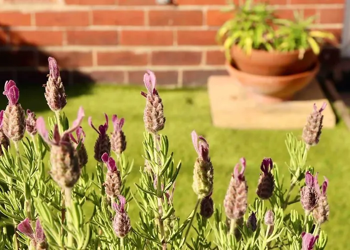 Apartment Stunning Free Wifi &parking Leeds (West Yorkshire)